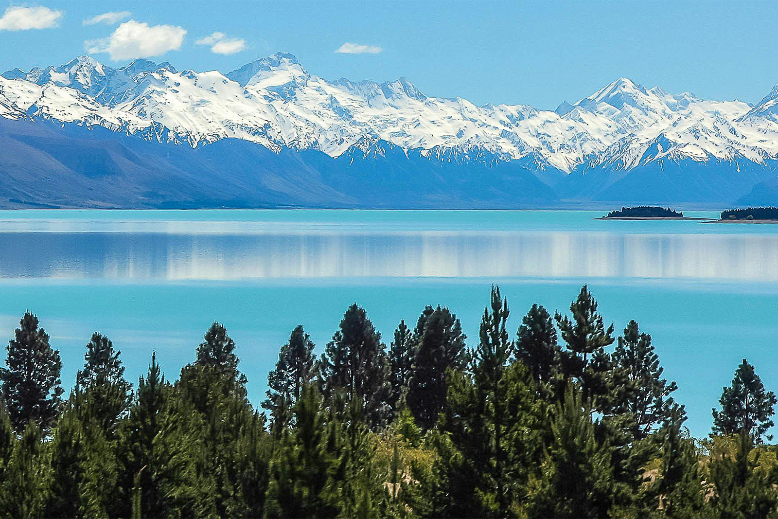 nz-7