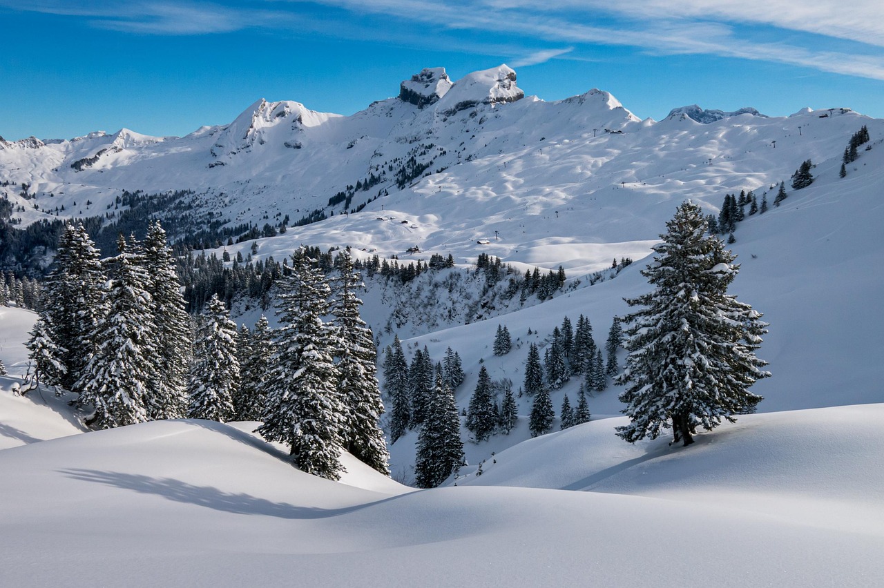 winter-4697776_1280